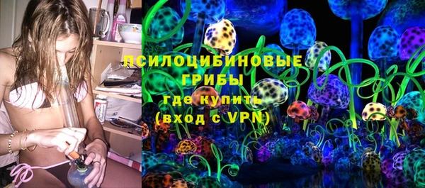 МДПВ Алексеевка