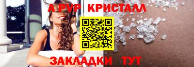 стаф Кунгур