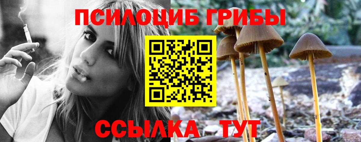 Ишим  Псилоцибиновые грибы Psilocybine cubensis  Галлюциногенные грибы ЛСД  Вход с VPN 